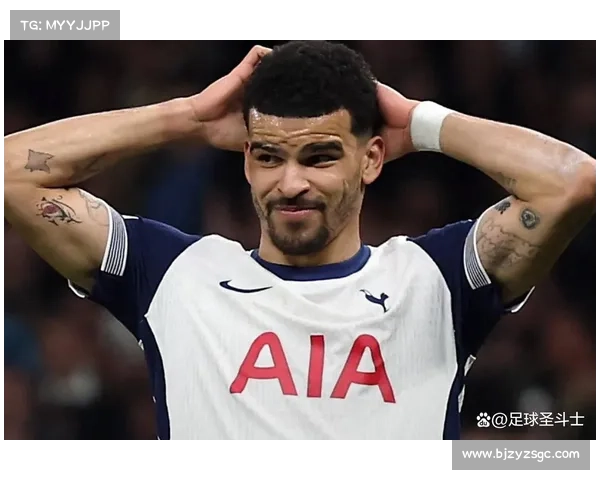 弗拉霍维奇重返巅峰的关键因素分析与职业转折之路